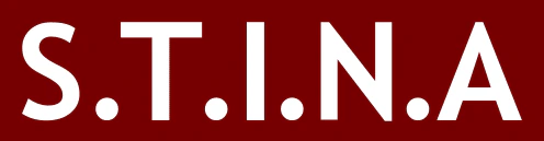 STINA GLOBAL LOGO